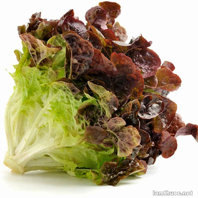 Leaf lettuce hay Sà lách bó, lá rời