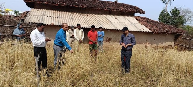 कलेक्टर ने भ्रमण कर असमय बारिश के कारण फसल नुकसान का किया अवलोकन,सर्वे कर रिपोर्ट प्रस्तुत करने के दिए निर्देश