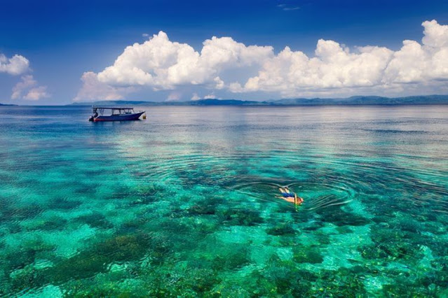 Spot-Spot Diving Dan Snorkeling Terbaik Di Bunaken