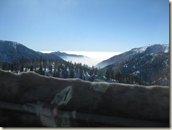 January 2011 109