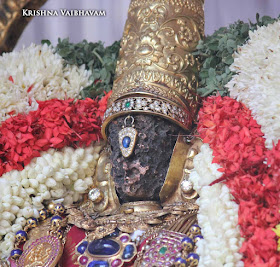 Parthasarathy Perumal, Maasi Sravanam, Thiruvonam Purappadu,  Trplicane,  Purappadu, Thiruvallikeni, Utsavam, 