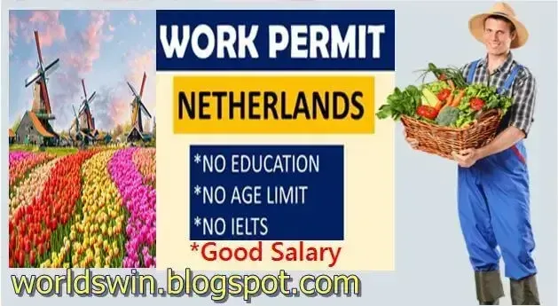 Job salary Netherlands