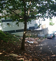 Mais um flagrante de falta de educação e ausência do poder públlico Mais um flagrante de falta de educação e ausência do poder públlico