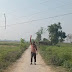 गाजीपुर जिले के बिजली विभाग का हाल बेहाल है, ग्रामीण दहशत में
