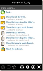 06.share-option