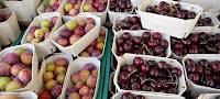 Photo by Sheila Webber plums and cherries at the farmers market July 2023
