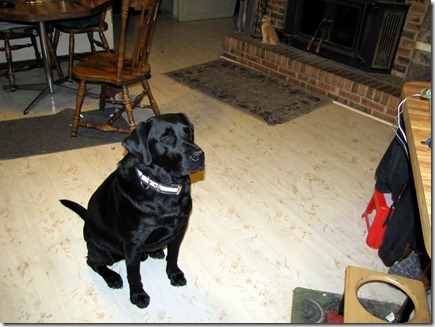 Rigg's12-25-11a