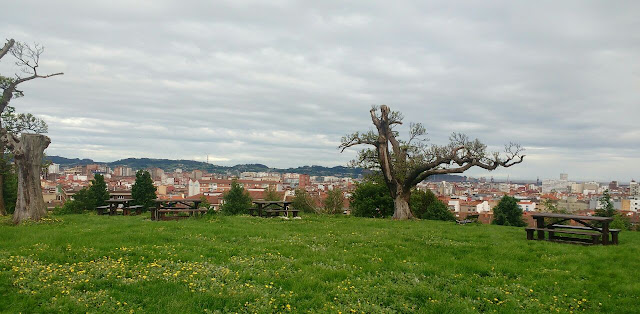 parque-pericones