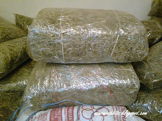 ALFALFA HAY DAN TIMOTHY HAY UNTUK DI JUAL