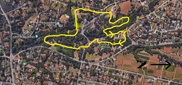 Map of birding trail in Felicita County Park