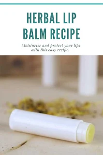 This is the best lip balm recipe!  How to make an herbal healing lip balm with calendula.  This lip balm diy is made with three types of herbs for healing.  It also has shea butter, cocoa butter, and beeswax to protect your lips. Easy home made lip balm. This lip balm recipe is easy to make.  How to make an all natural lip balm. Use beeswax lip balm to protect your lips.  Lip balm homemade recipe with herbs for natural beauty.  #lipbalm #diy #recipe #diybeauty #calendula #sheabutter #cocoabutter