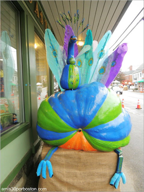 Calabaza de Pavo Real en el Festival de Damariscotta en Maine