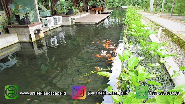 jasa pembuatan kolam ikan koi minimalis JAKARTA jasa pembuatan kolam ikan koi minimalis JAKARTA