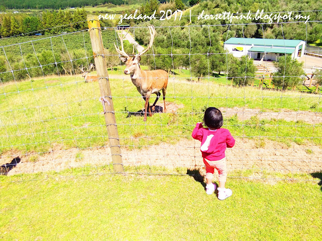 http://dorsettpink.blogspot.com/2017/04/travelog-new-zealand-2017-agrodome.html