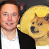 Elon Musk'tan Doge Adımı