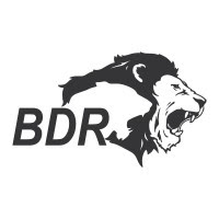 BDR Pharma Job Vacancy For Production/ R&D/ ADL/ Store/ QA/ Electrical/ Accounts