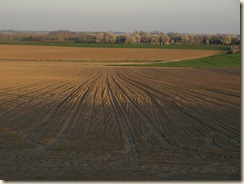 P4234238