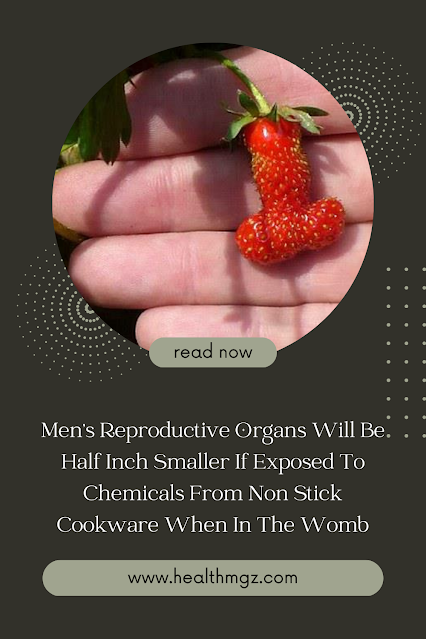 Recent research has suggested that exposure to chemicals from non-stick cookware during pregnancy can have a significant impact on the reproductive health of male babies. The study, conducted by the University of Padua in Italy, found that men exposed to these chemicals in the womb had reproductive organs that were half an inch smaller than those who were not exposed.  The chemicals in question are known as perfluoroalkyl substances (PFAS), which are commonly found in non-stick cookware, stain-resistant fabrics, and food packaging. PFAS have been linked to a range of health problems, including cancer, thyroid disease, and reproductive issues.  The study analyzed data from 383 male babies who were born to women living in the Veneto region of Italy between 1978 and 1991. The researchers measured the length and width of the babies’ genitals at birth and then compared this data to the levels of PFAS found in the mothers’ blood during pregnancy.  The results showed a clear correlation between exposure to PFAS and reduced penis length and testicular volume. The researchers estimate that a 50% increase in PFAS exposure could lead to a reduction in penis length of approximately 0.4 centimeters (or 0.16 inches) and a reduction in testicular volume of approximately 12.5%.  The study’s lead author, Dr. Andrea Di Nisio, noted that the effects of PFAS exposure on male reproductive health are particularly concerning given the ongoing decline in sperm count and quality in many parts of the world.  “The finding that prenatal exposure to PFAS is associated with reduced genital size in male newborns has important public health implications,” said Dr. Di Nisio. “We know that small penis size and poor testicular development are associated with a range of adverse outcomes, including infertility, testicular cancer, and reduced quality of life.”  The study adds to a growing body of research on the harmful effects of PFAS on human health. The chemicals are known to accumulate in the body over time, and exposure has been linked to a range of health problems, including cancer, thyroid disease, and immune system disorders.  While more research is needed to fully understand the impact of PFAS exposure on male reproductive health, the study’s authors say that the findings highlight the need for greater regulation of these chemicals.  “Given the potential long-term effects of prenatal exposure to PFAS, our findings underscore the urgent need to reduce human exposure to these chemicals,” said Dr. Di Nisio. “This can only be achieved through strong regulation of PFAS use and production, as well as improved monitoring of their presence in the environment and human population.”  In conclusion, exposure to PFAS chemicals from non-stick cookware during pregnancy can have a significant impact on male reproductive health, leading to smaller genital size and reduced testicular volume. This research highlights the need for greater regulation of these chemicals to protect public health.