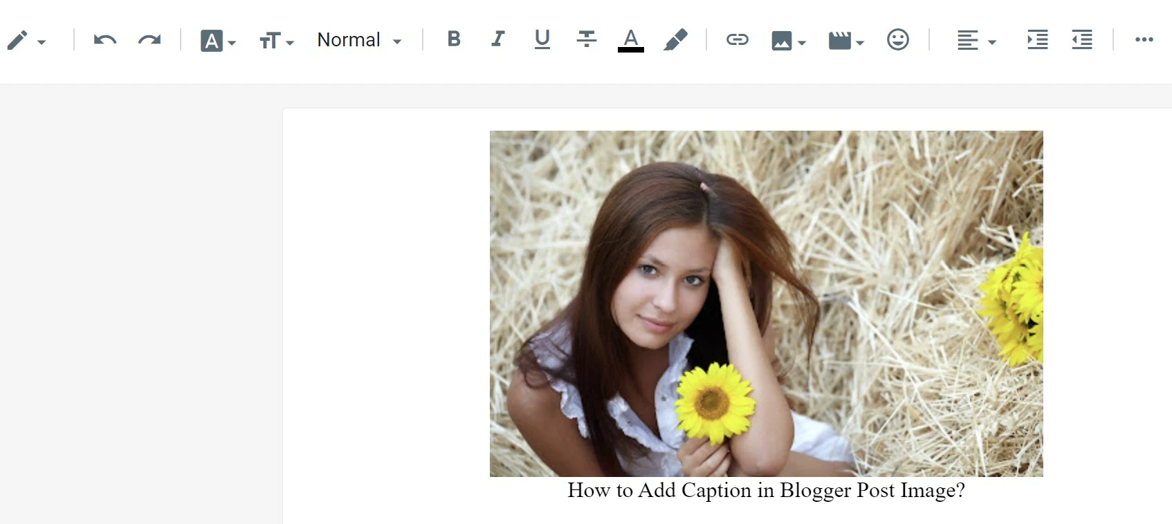 Adding captions to photos in the new Blogger
