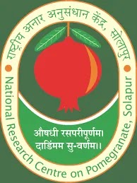 ICAR NRCP Solapur Bharti 2022