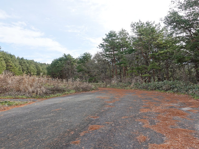 鳥取県西伯郡伯耆町丸山の牧草地　奥の小径