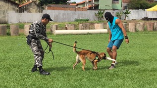 Curso de Operações K-9_01