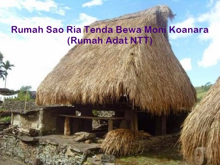 Blog Budaya Indonesia Kebudayaan Nusa Tenggara Timur NTT 