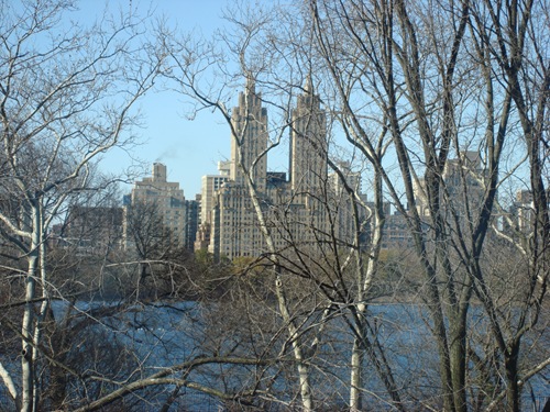 NYC Dec 184