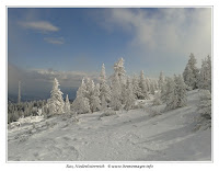 Schneeschuhwandern 