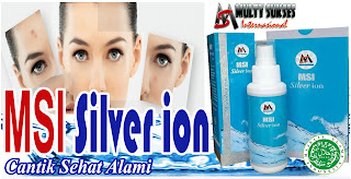 MSI SILVER ION