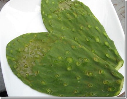 034_thumb[2][1]