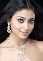 South Indian Actress Cute photos