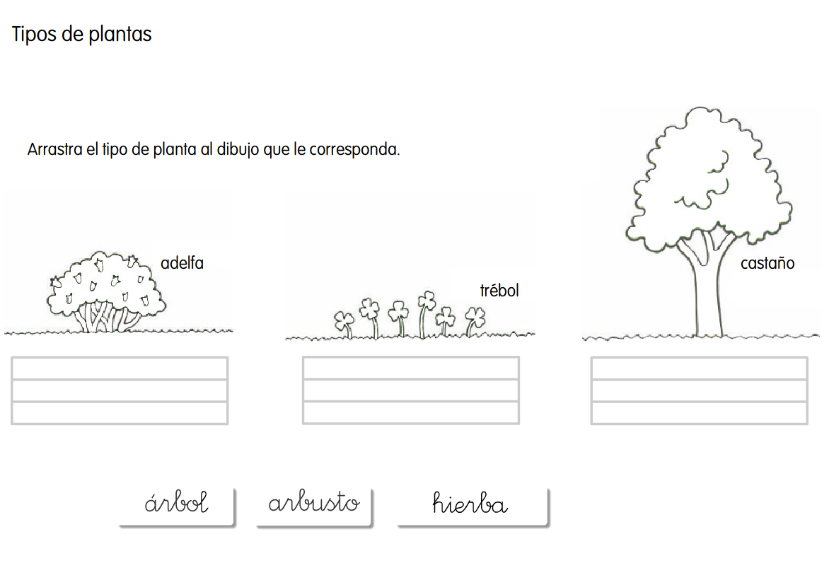 http://primerodecarlos.com/primerodecarlos.blogspot.com/octubre/primerodecarlos/SANTILLANA/actividades/C_del_Medio/Unidad%208/tipos%20de%20plantas.swf