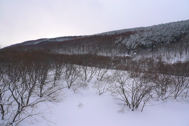 P10401981.jpg