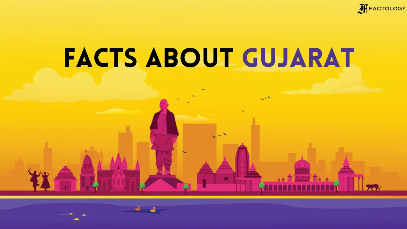 20 Shocking Facts About Gujarat