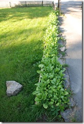 090626-1 002