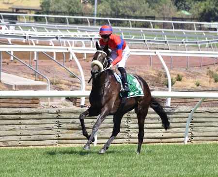 race 5_vanity_verry elleegant 2 race 5_vanity_verry elleegant 2