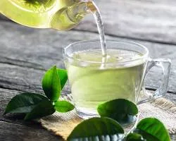 Green-tea-immune-system