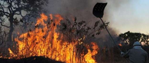 Ocorrências de incêndio levam Minas à situação de emergência
