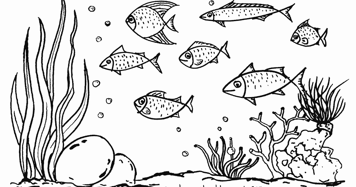 Ikan Laut