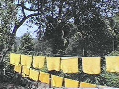rubber-sheets[1]