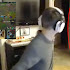 Video Hot: Anak Lagi Live Streaming, Sang Ibu Datang Hanya Kenakan CD dan Bra