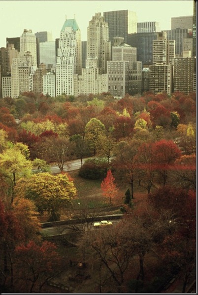 Ruth_Orkin_Muted_Autumn