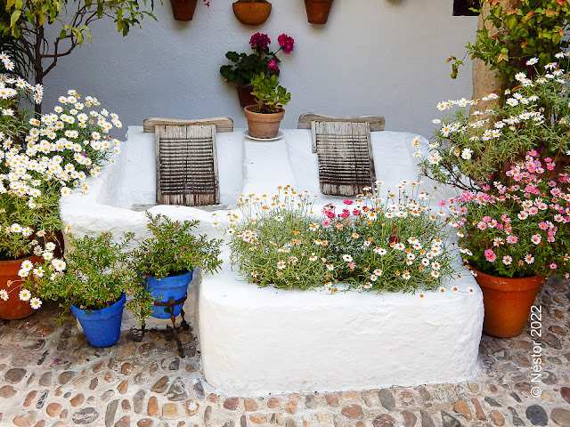 Patios de Córdoba