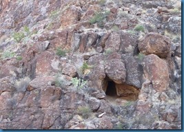 IMG_4331 (Medium)