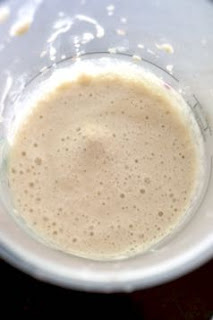 Coffee Milkshake: Savory Sweet and Satisfying