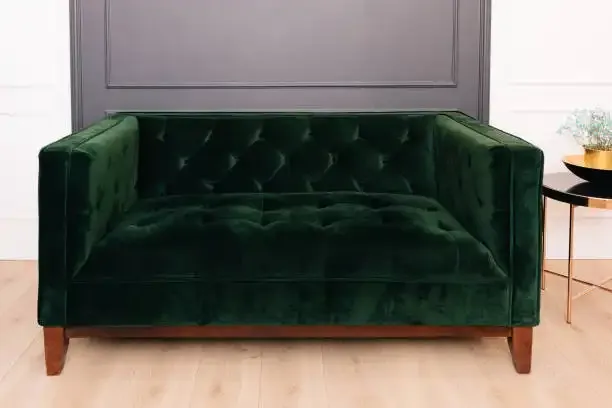 Green velvet upholstery