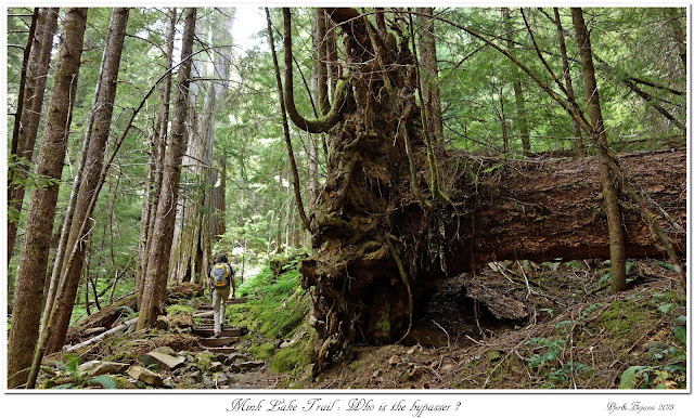 Mink Lake Trail: Who is the bypasser?