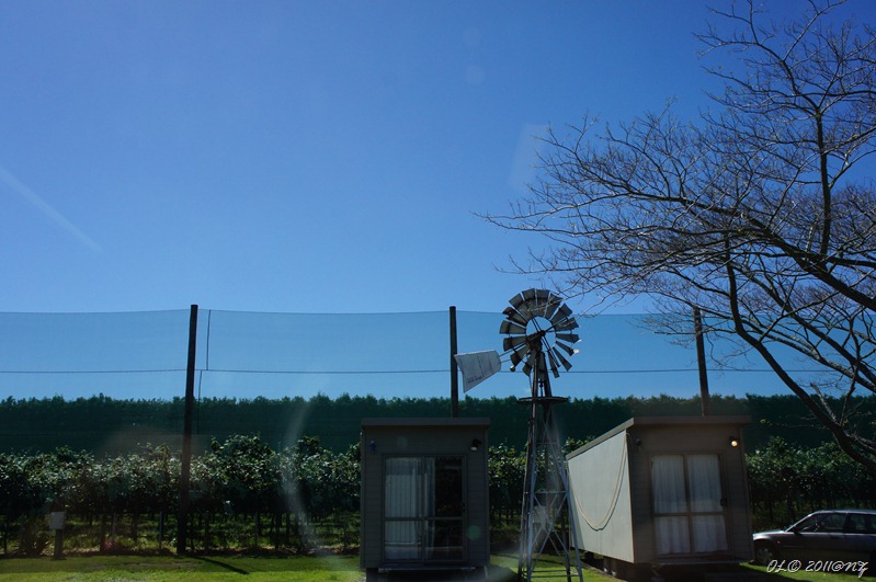DSC05317