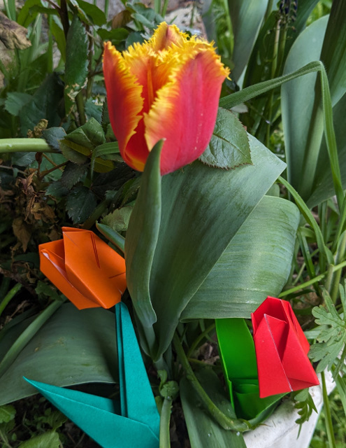 Tulipes en origami